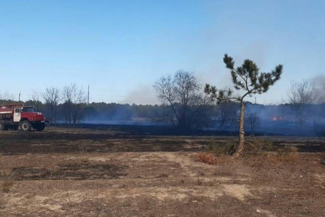 Килийский район. Пожарные ликвидировали возгорание сухой травы